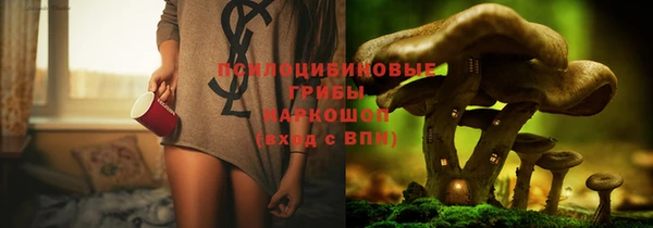 марки lsd Горно-Алтайск
