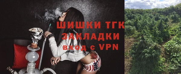 винт Горняк