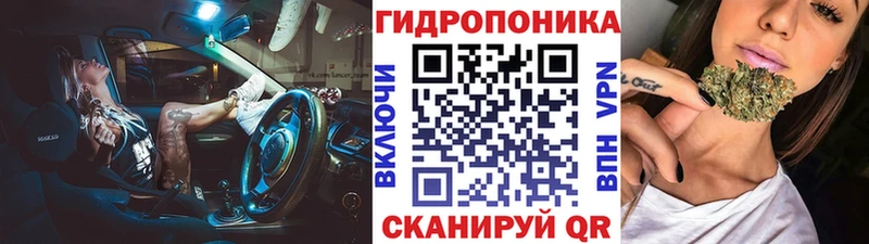 Каннабис план  Купить где  Сокол 